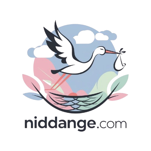 niddange.com